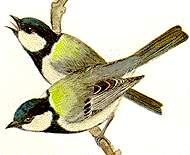 1.jpg (6682 bytes)