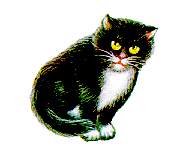 2.jpg (5113 bytes)